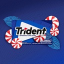 Trident Gum Perfect Peppermint 31g