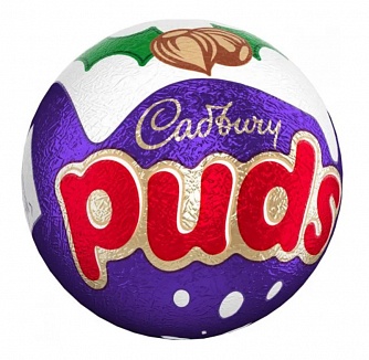 Cadbury Xmas Puds 35g